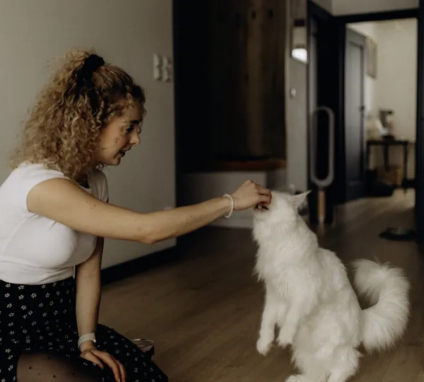 Kot i kuweta - jak pomóc kotu wrócić do kuwety?