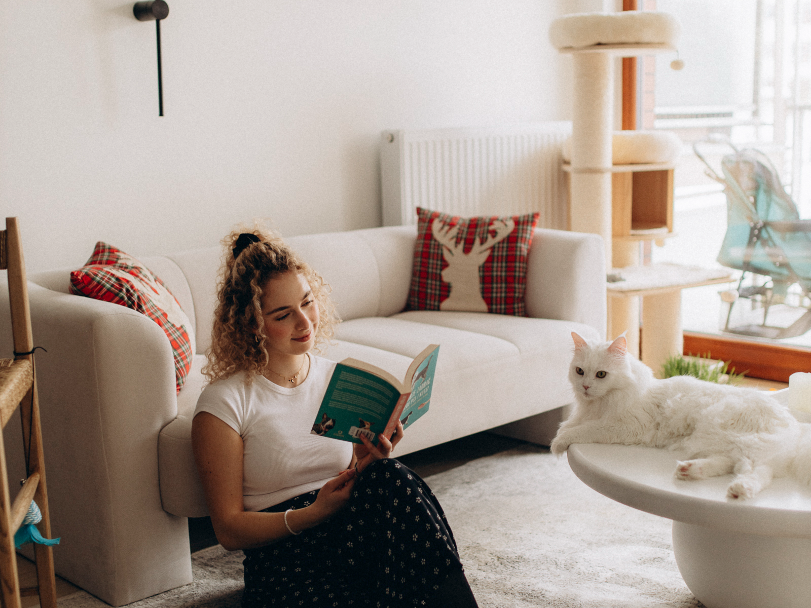 Kim jest behawiorysta kotów?