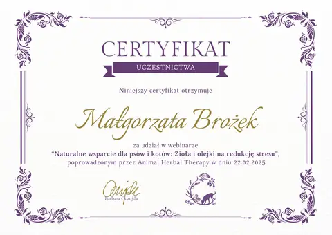 Certyfikat szkoleniowy