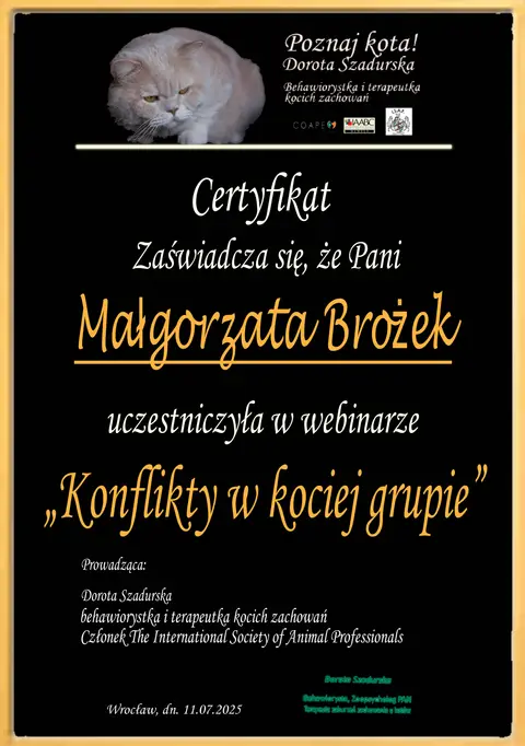 Certyfikat szkoleniowy