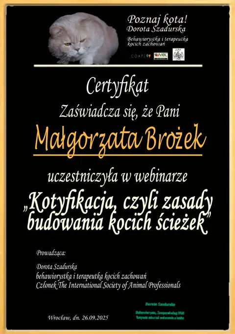 Certyfikat szkoleniowy