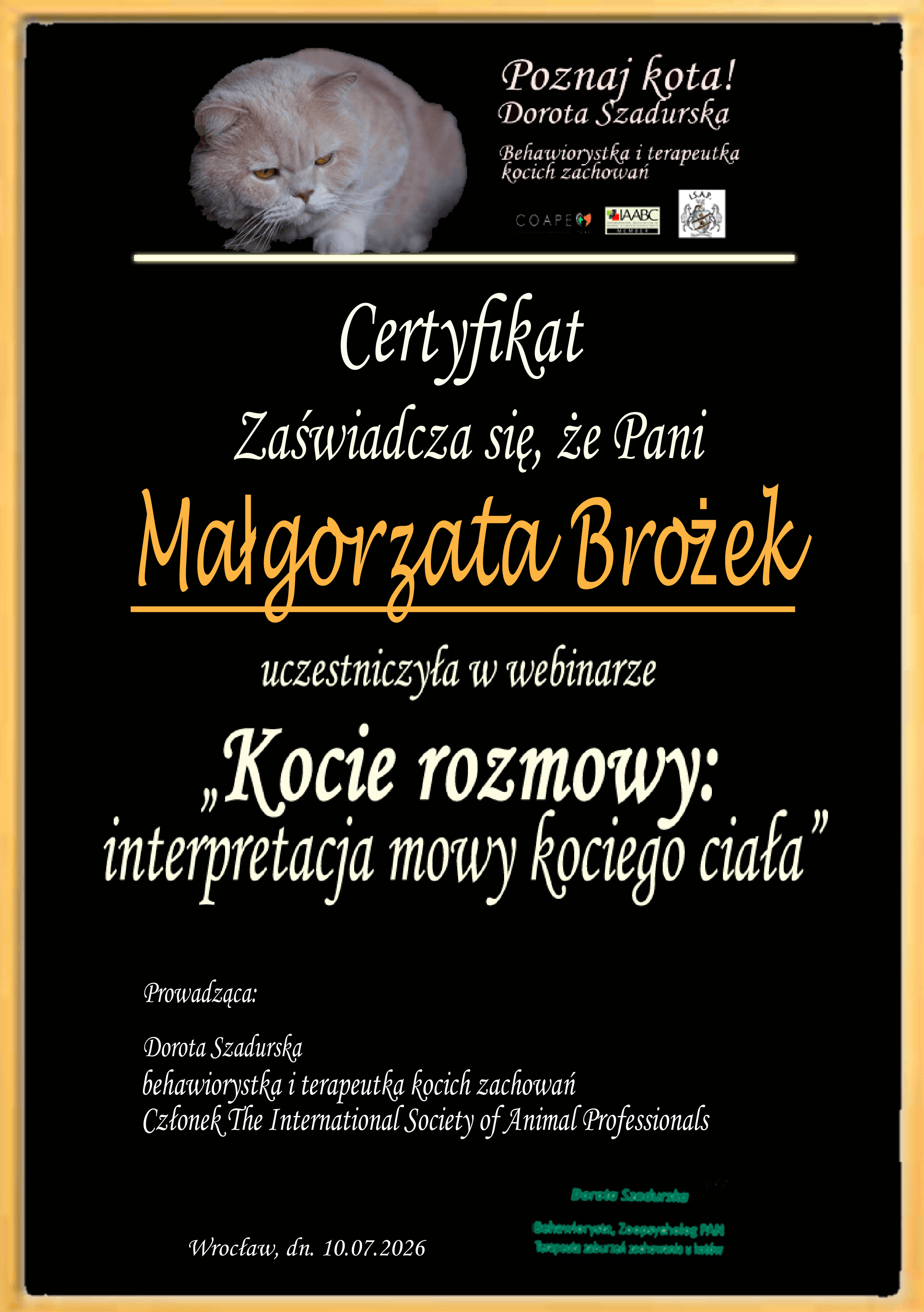 Certyfikat udziału w webinarze Kocie rozmowy: interpretacja mowy kociego ciała