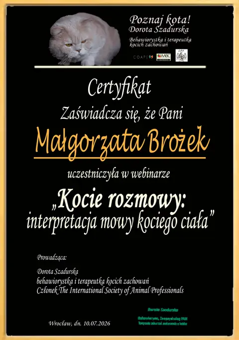 Certyfikat udziału w webinarze Kocie rozmowy: interpretacja mowy kociego ciała