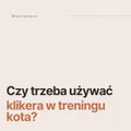 Gosia
